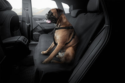 Seatshield Back Seat Cover for Dogs - Black